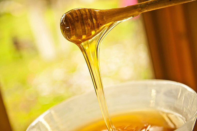 Goldener Honig tropft von einem Honiglöffel in eine Glasschale als natürliches Ayurveda-Süßungsmittel