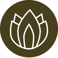 Icon Lotus