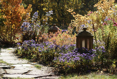 Herbst im Rosenberg Ayurveda Kurzentrum
