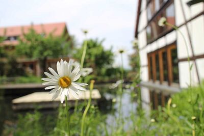 Ayurveda-Kurhaus in Birstein im Sommer