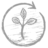 Nachhaltig, bewusst & nach Vastu-Shastra gebaut